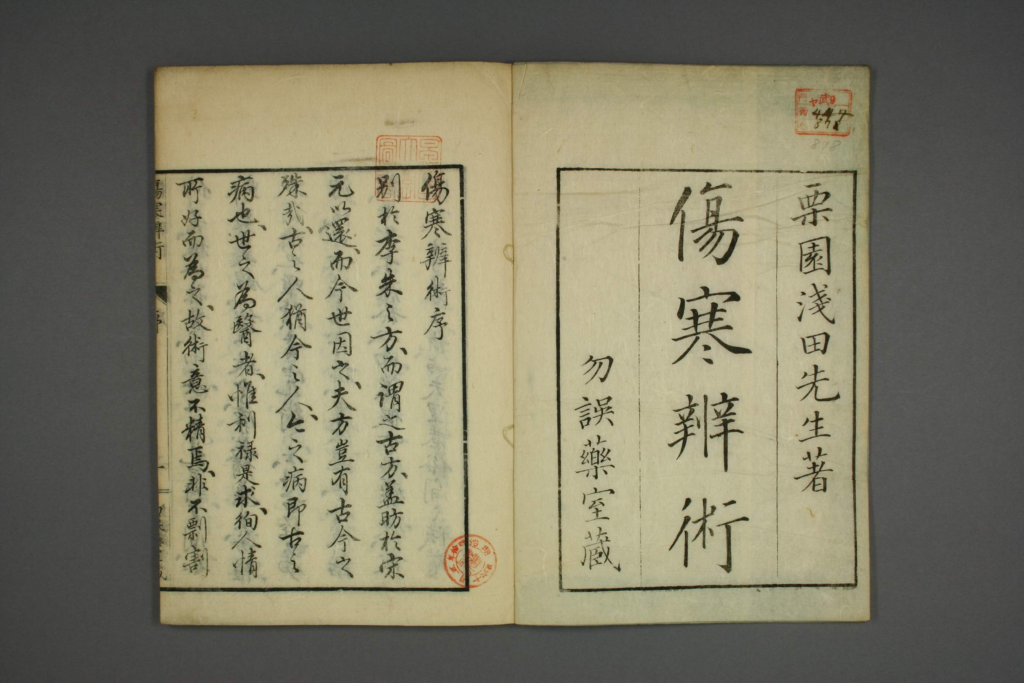 图片[2]-伤寒辨术-拾宜