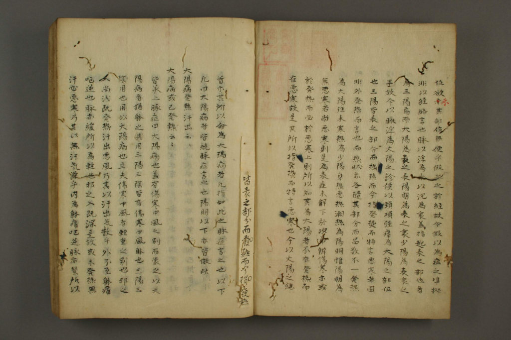 图片[3]-伤寒讲义-拾宜