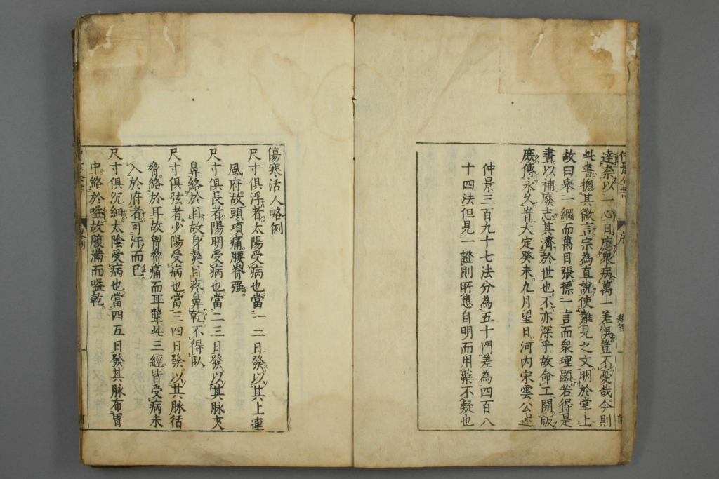 图片[3]-伤寒类证-拾宜