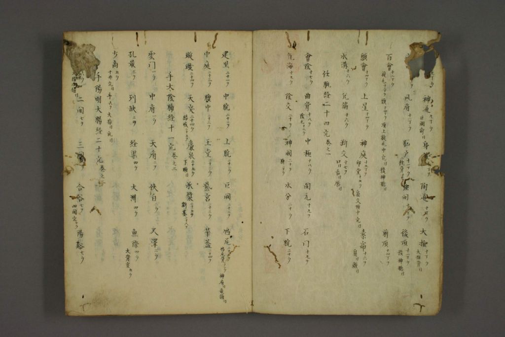 图片[3]-十四经络腧穴条辨-拾宜